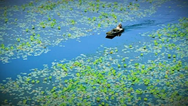 各路“虾”客！济宁景区、住宿优惠抢鲜薅
