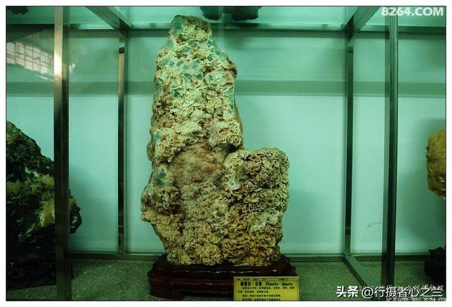 山东行游影记（31）—平邑天宇自然博物馆（六）