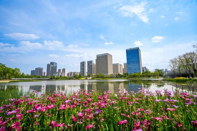 2025世界机器人大会上，这些机器人“熟面孔”来自成都高新区！