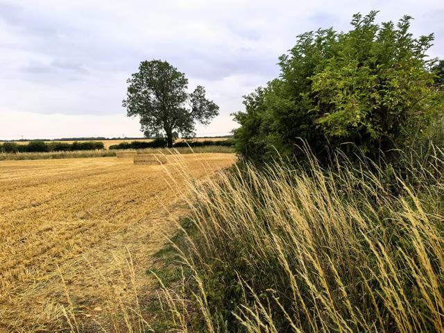 2025年夏季英国游记（完结篇）：走进英国温莎城堡