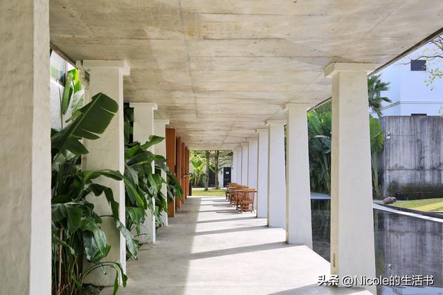 稻浪浸温汤，古村藏清欢