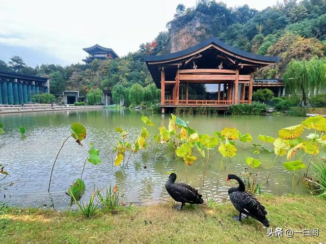 19:中华文化种子的基因库——中国杭州·国家版本馆