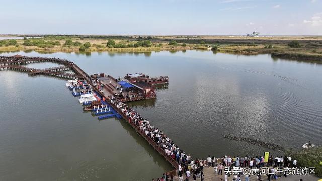 【情满双节游东营】​黄河口生态旅游区 国庆精彩瞬间 美好永不散场