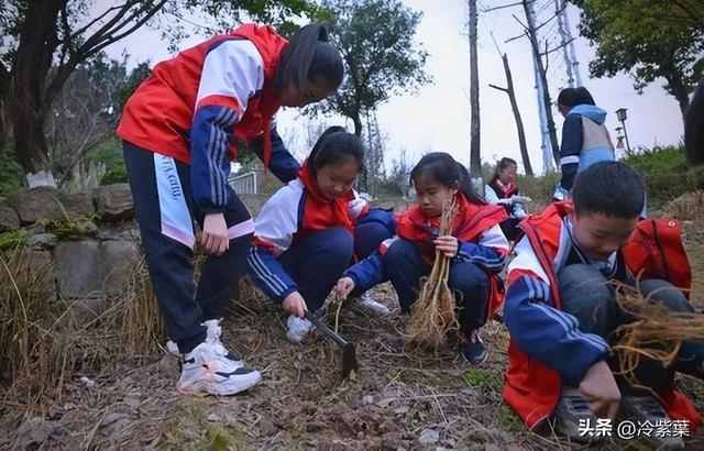 教育部扔下重磅炸弹：2026年开始，全国一律不准再买校外商业试卷