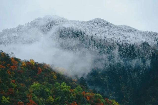 成都这里下雪啦！