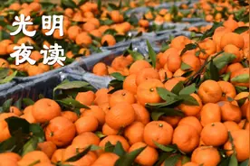 14.6元10斤砂糖橘？“钓鱼式”营销为何让人反感图片