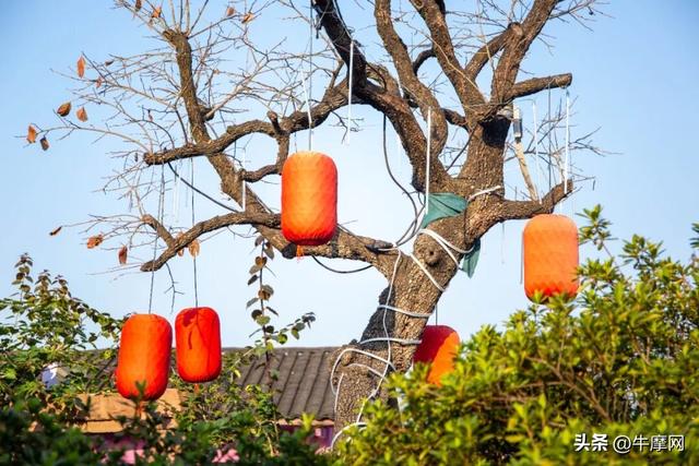 迎着阳光 向着南山 与鸿150S奔跑在城市和山野之间