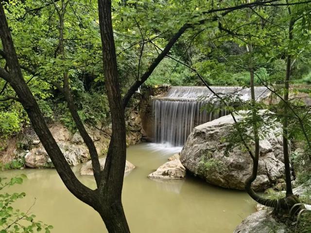 西狭秋韵：石刻无言，却与幽风诉千年