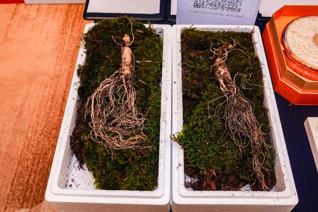 雪国来信已送达西湖！长白山携粉雪秘境赴杭州发出新雪季邀约