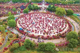 同比增长21.75%！“五一”假期南阳市实现旅游收入32.91亿元图片