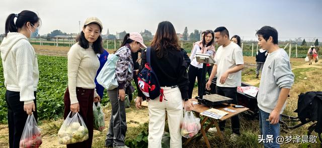 周末新玩法：云梦博物馆看秦简，新马村拔萝卜，武汉家庭乐翻天