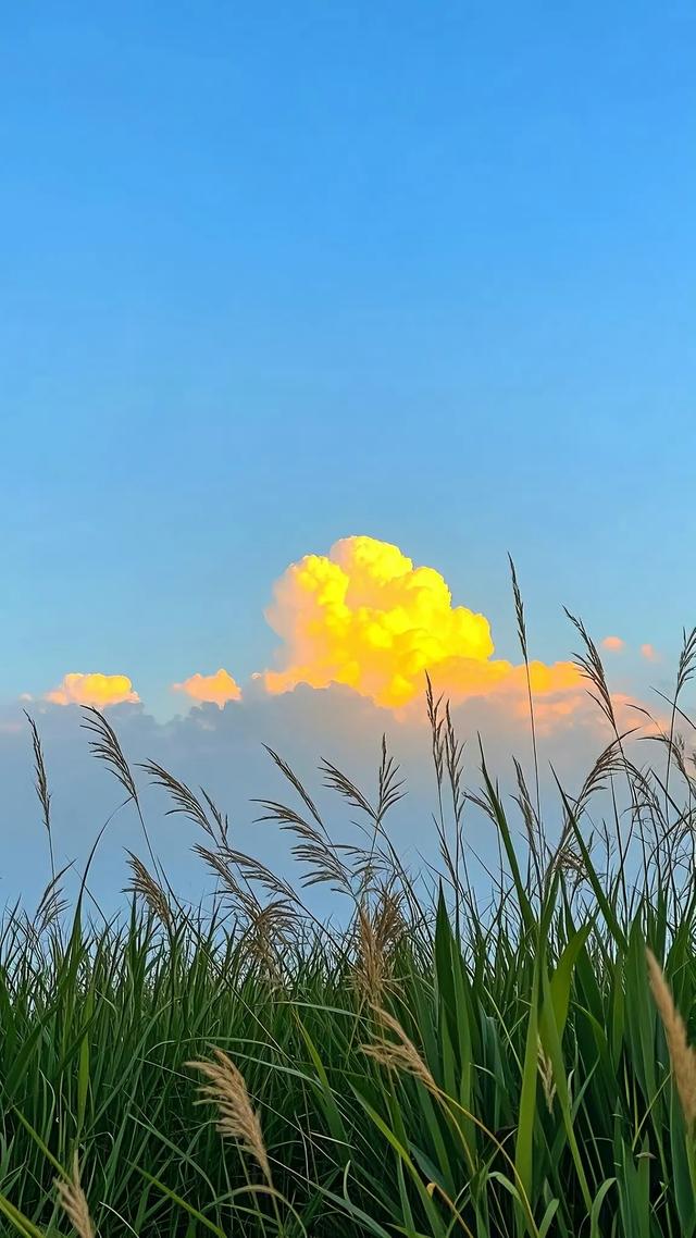 夏天云朵有一万种浪漫