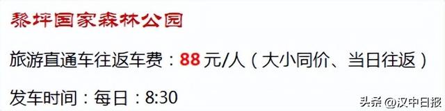 汉中赏秋观景直通车来了！