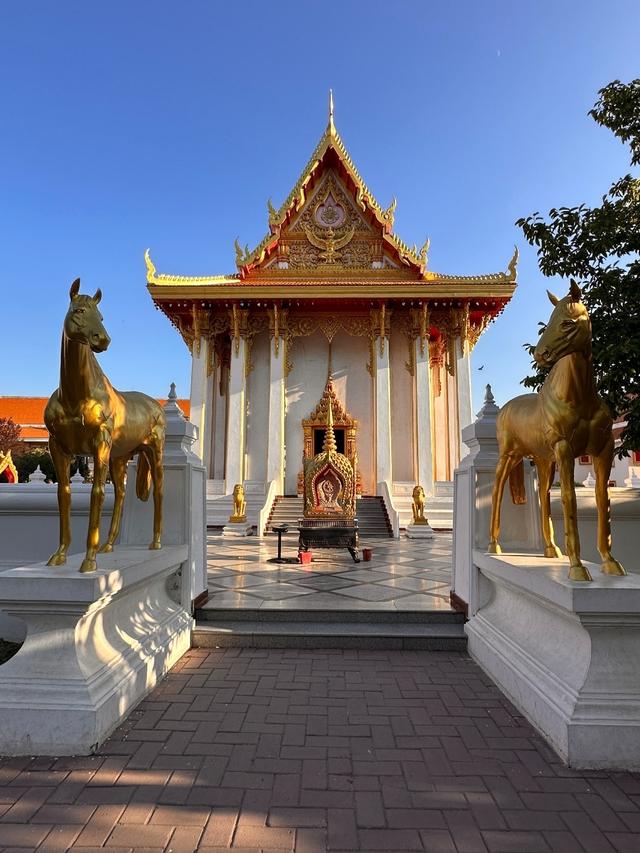 苏州没想到，杭州也没想到，如今的中国洛阳，已成为顶流热地