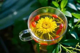 10款养生茶饮配方：戒掉奶茶瘾，喝出健康好气色！图片