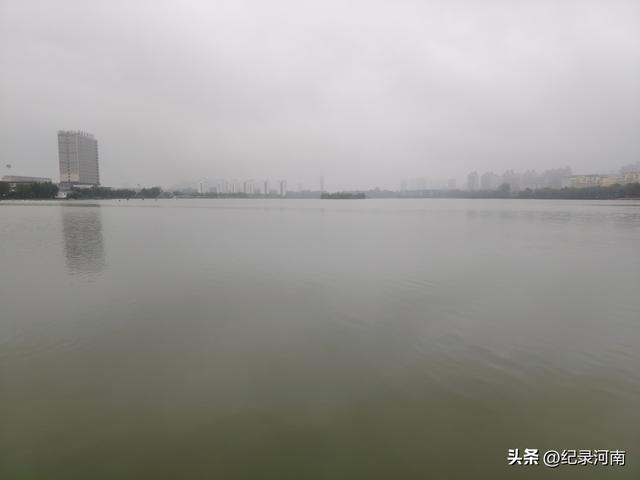 七上八下全国文明城市柘城县迎来汛期，晨练国家湿地公园榕湖发现