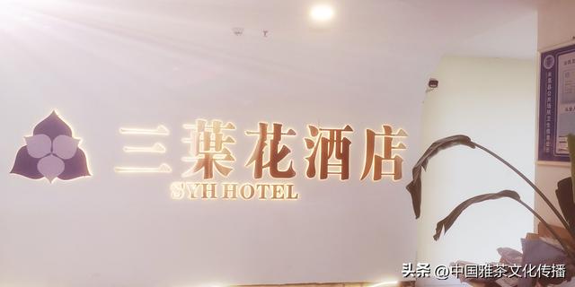 礼赞三葉花•酒店