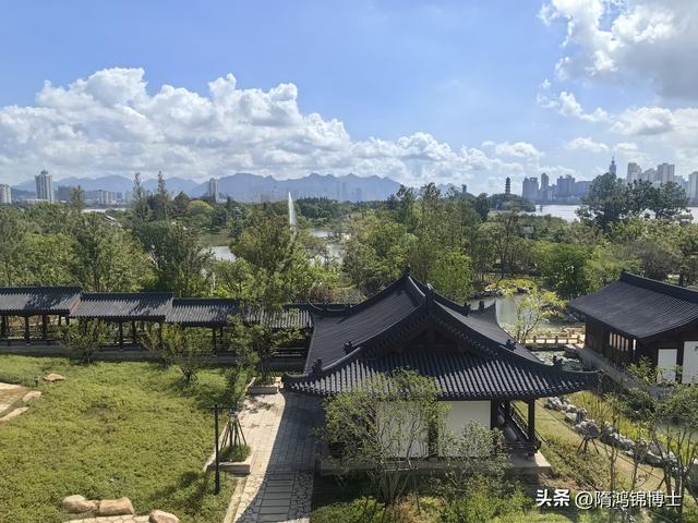 江心屿