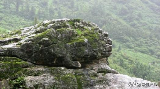 北国绿宝石：黑龙江大亮子河国家森林公园漫记