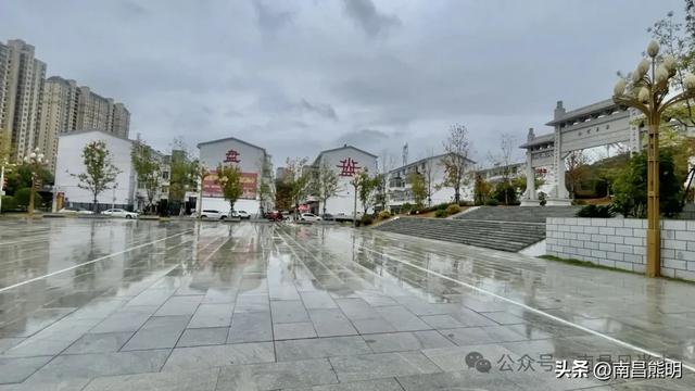 湾里揽胜：蟠龙峰下茶养云