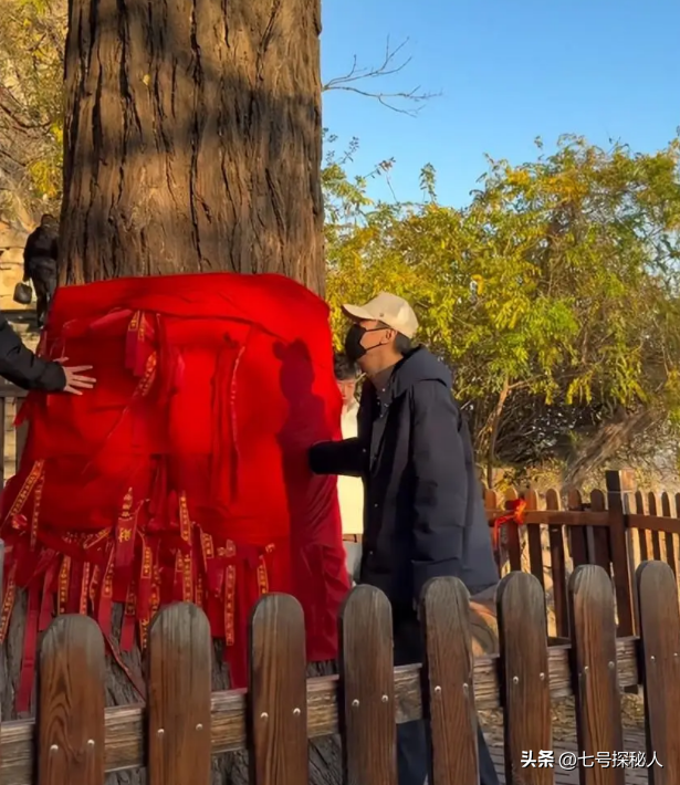 距春节不到2月，52岁辛柏青高调传出喜讯	，朱媛媛终于可以放心了