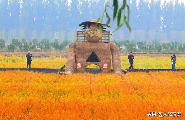 解锁「美拉德」色系！东平的秋天是懂氛围感的，朋友圈晒这些图绝对赢麻！