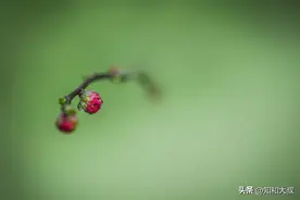 兄弟姐妹之间最舒服的关系：四个字图片