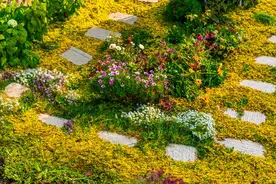 我爱你，爱你的心，永远不会变图片