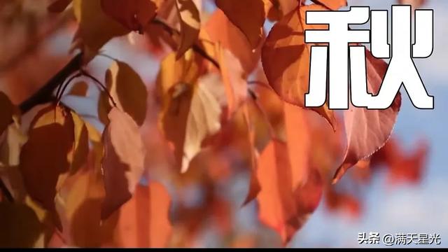 张建德｜写在吴城“村晚”的一段记忆