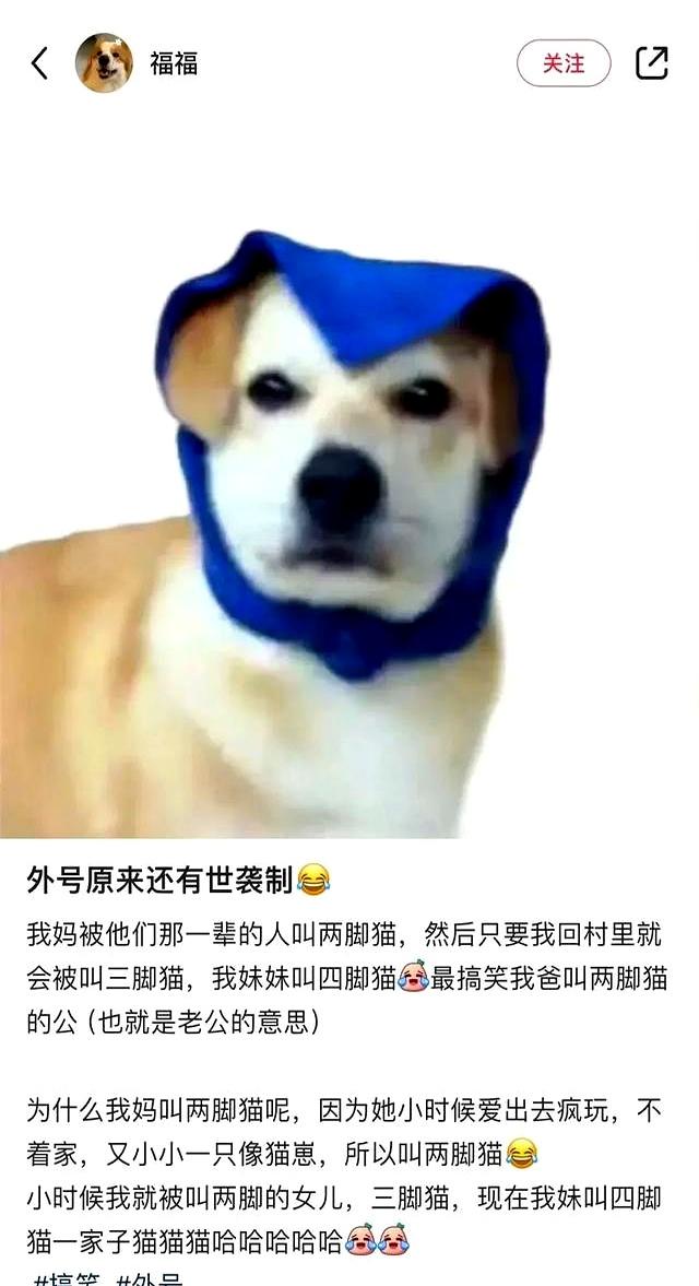 “回村后继承了爷爷的外号？”哈哈哈原来是世袭制！