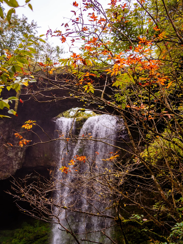 神图有了！在龙苍沟，出片还不是手拿把掐