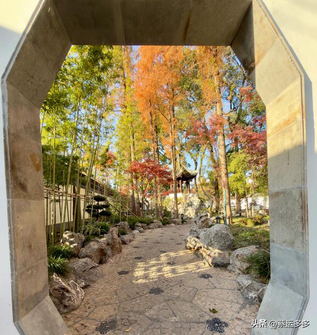 沪上园林古猗园已达颜值巅峰