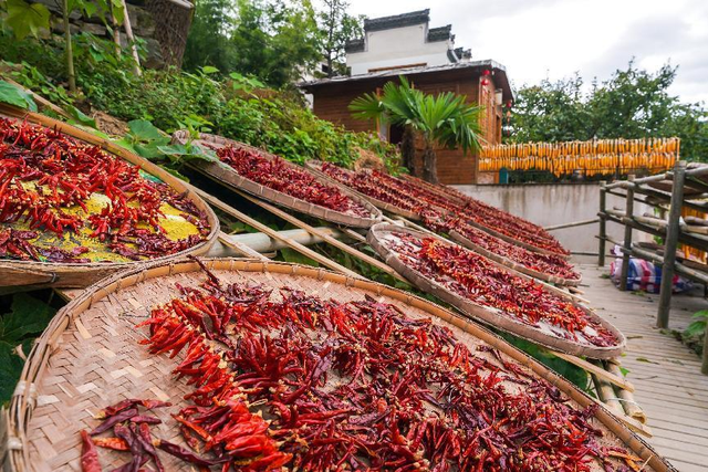 GO!皖南最舒服的温度，就该去新安江山水画廊乘船入画！