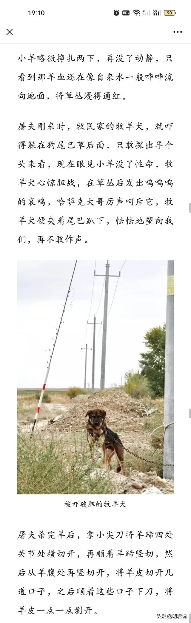 卢克文：令人心神向往的新疆