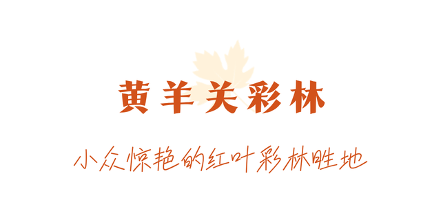 走不出这画了，我已被平武的彩林迷倒！