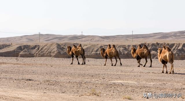 全国火车站系列之瓜州火车站