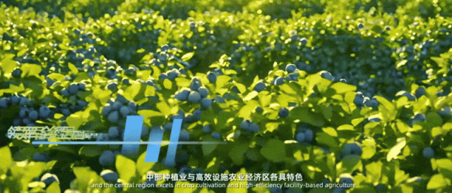 地理冷知识———温泉小城