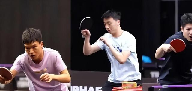 悄悄告诉亥猪：10月30号是你一生难遇的关键节点！