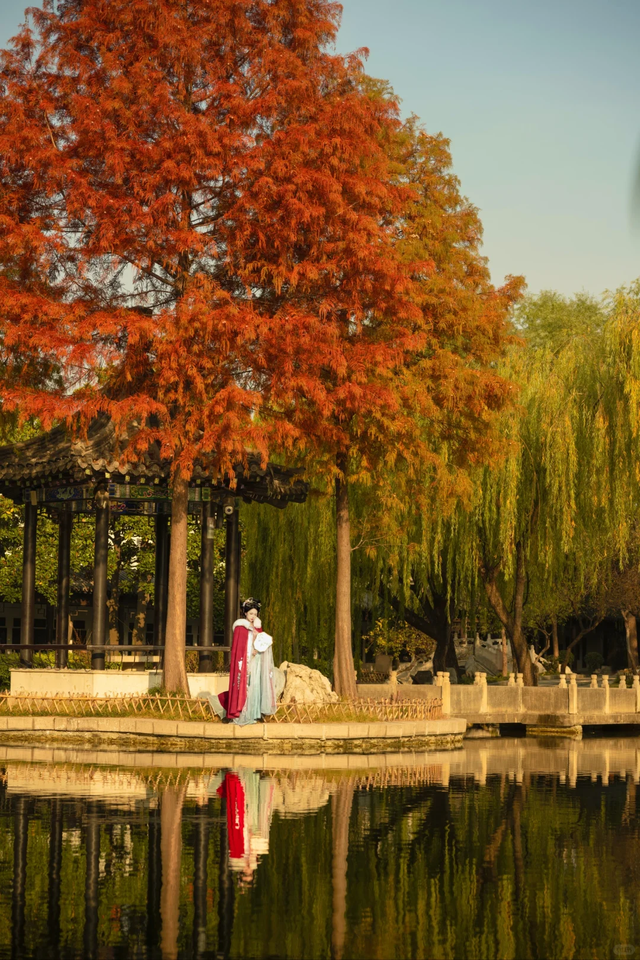 临沂「红杉」「红枫」浓度拉满，出片率100%