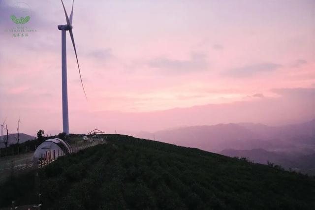 2026元旦打卡地图！全市景区活动集锦，一键解锁→