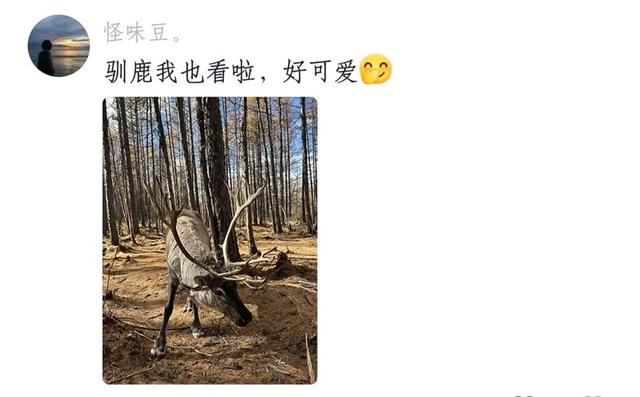 指南 | “李爸”涂松岩，竟在呼伦贝尔-58℃冷极偷偷干饭！