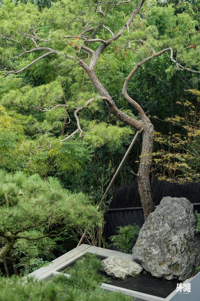 隐逸江南，吴滨的山居日志