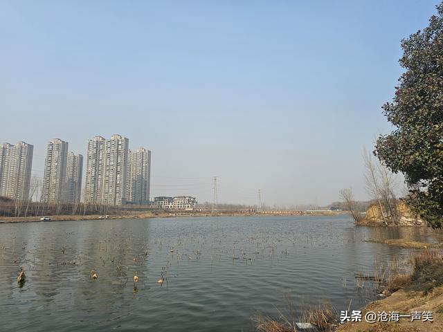 我在湖边思君影，你在林间听松涛，冬季相见恨晚，一起散步打卡吧