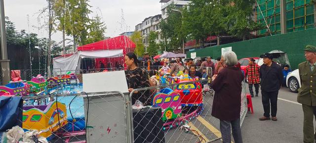 安逸安居·乐购金秋暨第四届中国国际熊猫消费节安居分会场启幕！