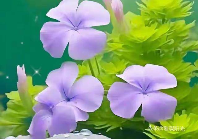 夫妻分房睡，男人忍耐的时间越久，就越能说明一个问题！别不信