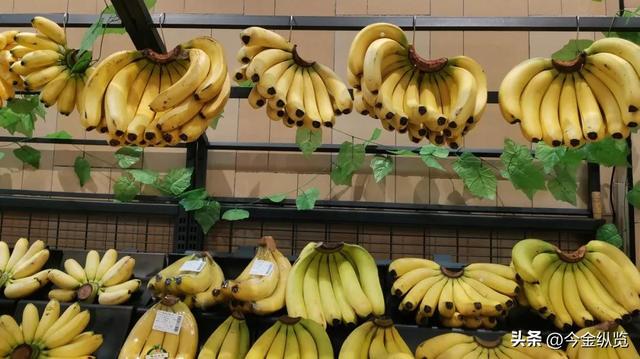你家香蕉总烂一根？别再自责了！揭秘从果园到餐桌的“保鲜大战”