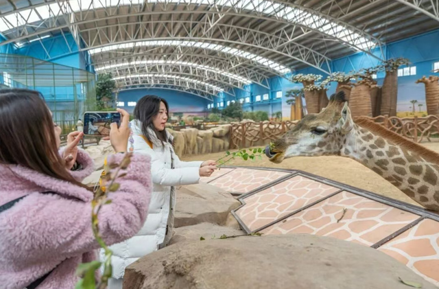 山东有自己的“疯狂动物城”！