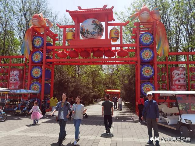 做几天洛阳人——游河南洛阳赏牡丹芬芳 总体概述(四)