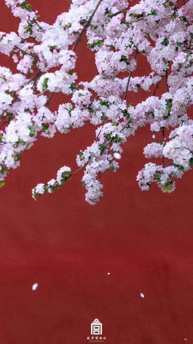 故宫四季美景一览，震撼高清美图预警！