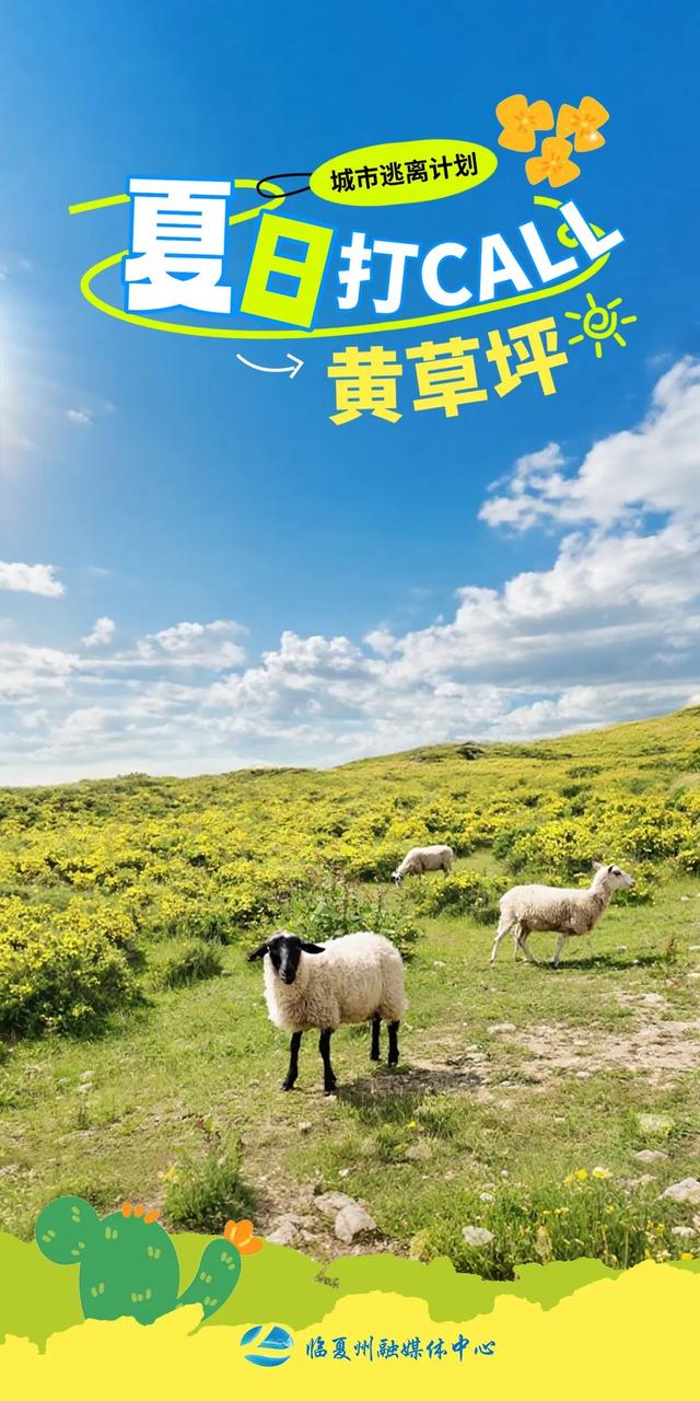 海报｜夏日，奔赴那片黄草坪